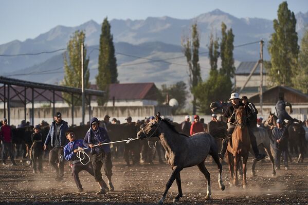 Караколский рынок животных, запечатленный ирландским фотографом Ричардом Ватсоном во время путешествия по Киргизии - Sputnik Кыргызстан