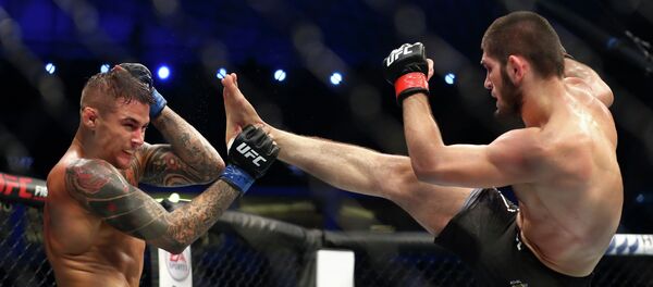 Турнир UFC 242 в Абу-Даби. Хабиб Нурмагомедов против Дастина Порье - Sputnik Кыргызстан