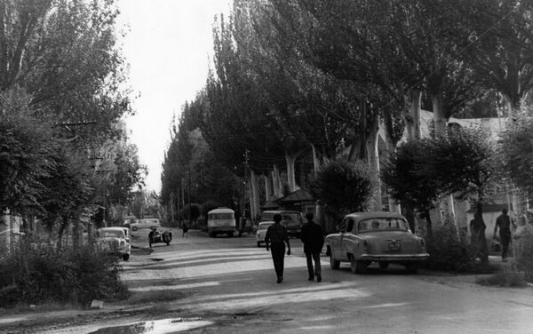 Тополя в городе Каракол. Архивное фото - Sputnik Кыргызстан