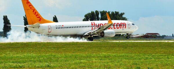 Самолет авиакомпании Pegasus. Архивное фото - Sputnik Кыргызстан