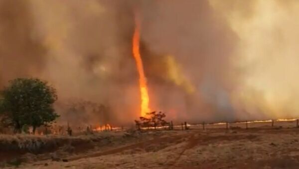 Огненный торнадо разбушевался на одной из ферм в Бразилии — ужасающее видео - Sputnik Кыргызстан