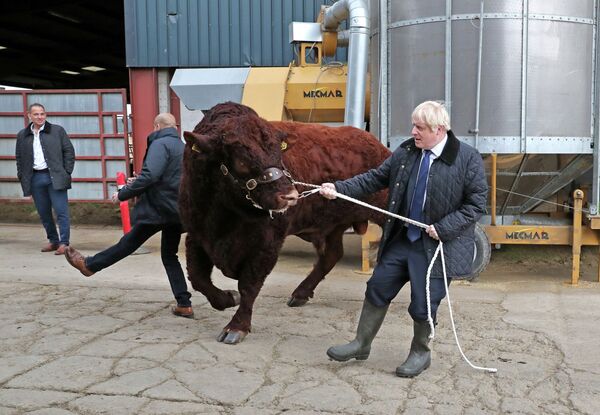 Визит премьер-министра Великобритании Бориса Джонсона фермы в Шотландии - Sputnik Кыргызстан