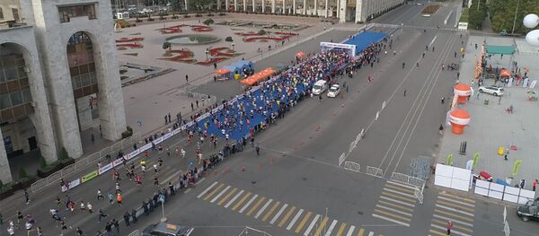 Миңдеген адамдар чуркап. Ак илбирсти сактоого арналган марафон видеодо - Sputnik Кыргызстан