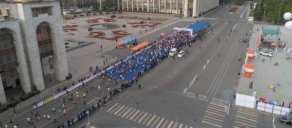 Как спасали снежных барсов — видео забега в Бишкеке - Sputnik Кыргызстан