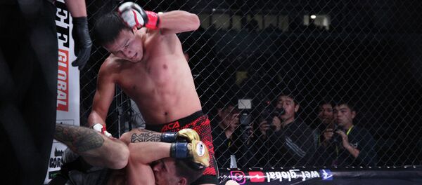 15-ый турнир кулатуу эр таймаш (WEF) в Оше - Sputnik Кыргызстан