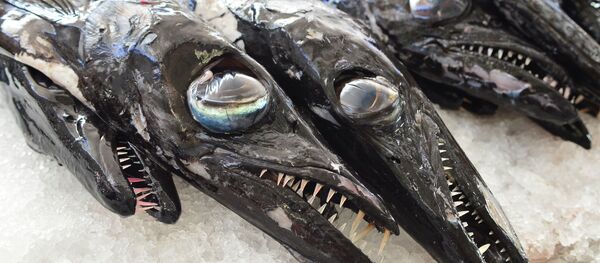 Балык. Архив - Sputnik Кыргызстан