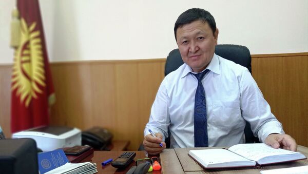 Директор Государственного учреждения Унаа при ГРС КР Алымжан Козубаев - Sputnik Кыргызстан