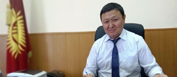 Директор Государственного учреждения Унаа при ГРС КР Алымжан Козубаев. Архивное фото - Sputnik Кыргызстан