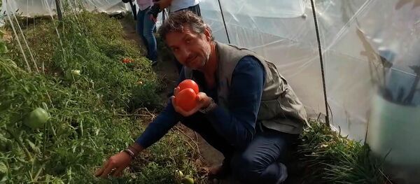 Күнөскана иштетип окуучуларга тамак жасап берген Таластагы өзгөчө мектеп. Видео - Sputnik Кыргызстан