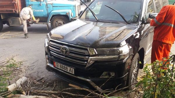 В Бишкеке рано утром был шквальный ветер — последствия уточняются. Фото, видео - Sputnik Кыргызстан