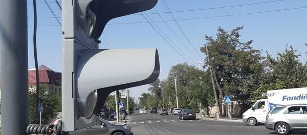 Новый светофор установленный на одной из улиц Бишкека - Sputnik Кыргызстан