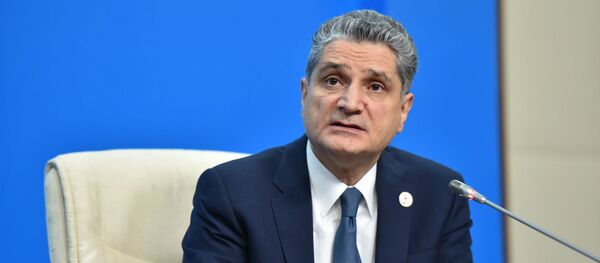 Президент РФ В. Путин принимает участие в заседании Высшего Евразийского экономического совета - Sputnik Кыргызстан