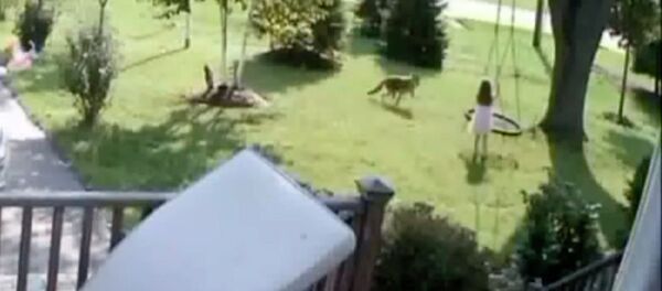 Девочка убежала от койота, пытавшегося напасть на нее во дворе дома. Видео Девочка убежала от койота, пытавшегося напасть на нее во дворе дома. Видео - Sputnik Кыргызстан