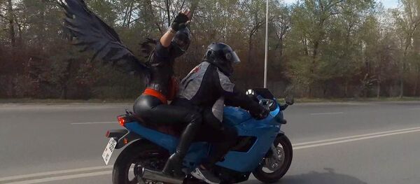 Как сотни байкеров проехались по Бишкеку — видео - Sputnik Кыргызстан