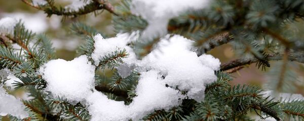 Биринчи кар. Архив Биринчи кар. Архив - Sputnik Кыргызстан