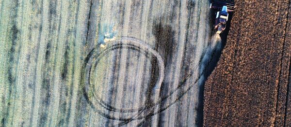 Уборка урожая. Архивное фото - Sputnik Кыргызстан