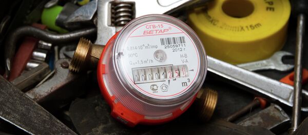 Суу ченегич. Архив Суу ченегич. Архив - Sputnik Кыргызстан