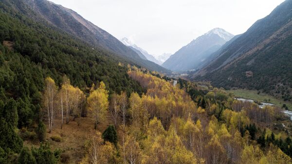 Государственный природный парк Ала-Арча - Sputnik Кыргызстан