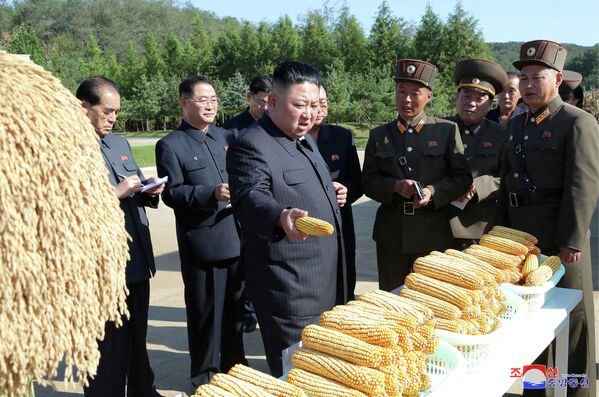 Лидер Северной Кореи Ким Чен Ын посетил сельскохозяйственную ферму - Sputnik Кыргызстан