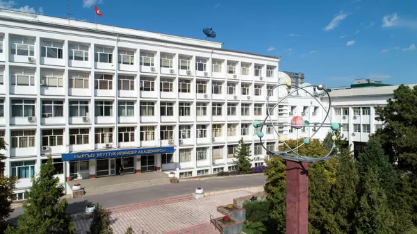 Здание Национальной академии наук в Бишкеке. Архивное фото - Sputnik Кыргызстан