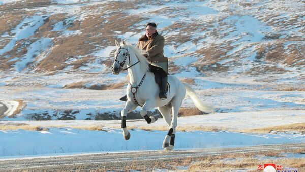 Лидер КНДР Ким Чен Ын в ходе инспекционной поездки по уезду Самчжиен на белом коне поднялся на священную для корейцев гору Пэктусан - Sputnik Кыргызстан