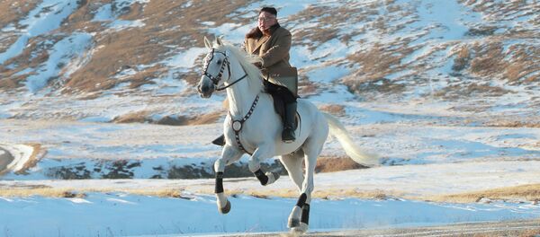 Лидер КНДР Ким Чен Ын на горе Пэктусан Лидер КНДР Ким Чен Ын на горе Пэктусан - Sputnik Кыргызстан