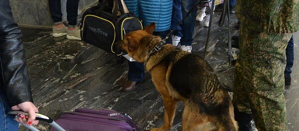 Работа таможни в а/п Баландино в Челябинске - Sputnik Кыргызстан