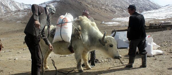 Гуманитарная помощь этническим кыргызам, проживающим на Памире в Афганистане - Sputnik Кыргызстан
