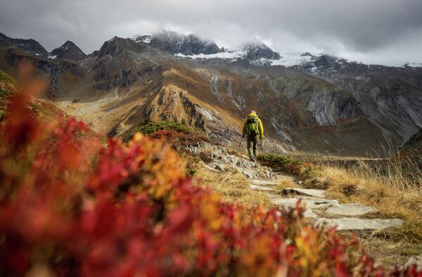 Австриянын Циллерталь Альпы тоолорунда бара жаткан турист - Sputnik Кыргызстан