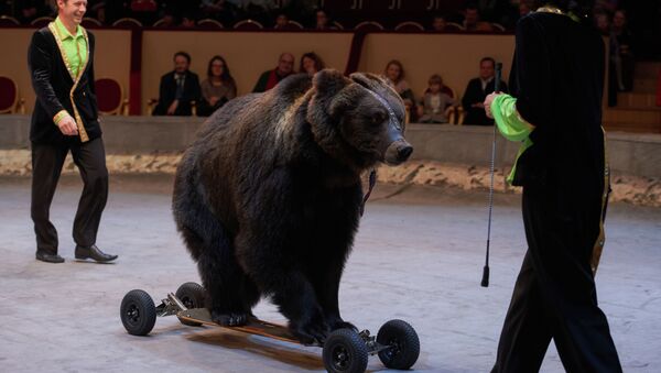 Циркачи выступают с медведем. Архивное фото - Sputnik Кыргызстан