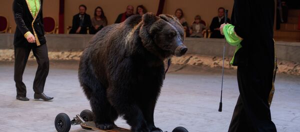 Циркачи выступают с медведем. Архивное фото - Sputnik Кыргызстан