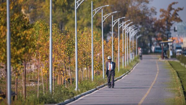 Пожилой мужчина гуляет вдоль Южной магистрали в Бишкеке. Архивное фото - Sputnik Кыргызстан