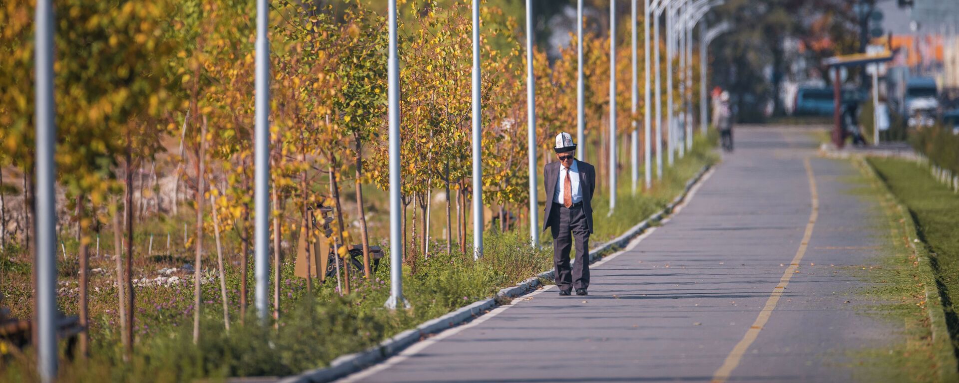 Пожилой мужчина гуляет вдоль Южной магистрали в Бишкеке. Архивное фото - Sputnik Кыргызстан, 1920, 15.08.2022