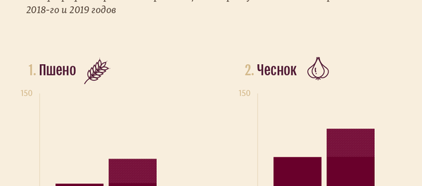 Какие продукты в Кыргызстане больше всего подорожали этой осенью Какие продукты в Кыргызстане больше всего подорожали этой осенью - Sputnik Кыргызстан