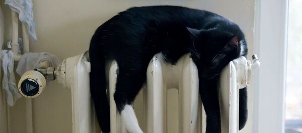 Подготовка к подаче отопления - Sputnik Кыргызстан