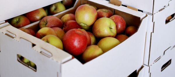 Алма. Архив Алма. Архив - Sputnik Кыргызстан