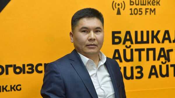 Завотделом Госагентства охраны окружающей среды и лесного хозяйства Талант Турдуматов - Sputnik Кыргызстан
