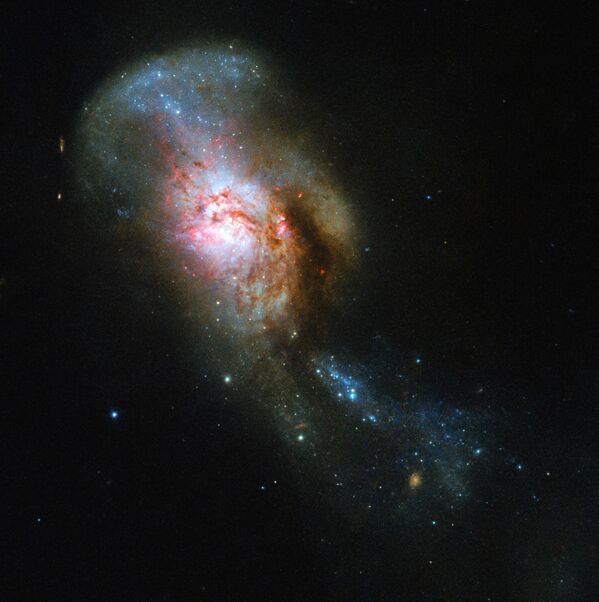 Снимок объекта NGC 4194 Слияние Медузы, полученный с помощью телескопа Hubble - Sputnik Кыргызстан