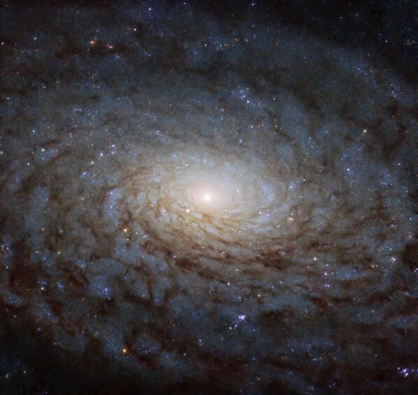 Снимок спиральной галактики NGC 4380 - Sputnik Кыргызстан