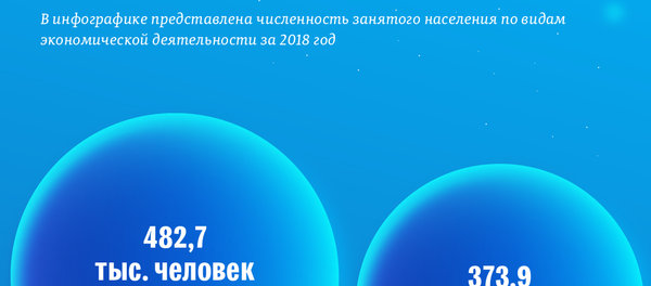 В каких сферах работает больше всего кыргызстанцев - Sputnik Кыргызстан