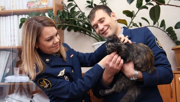 Злоумышленники натренировали кошку переносить наркотики — видеоистория - Sputnik Кыргызстан