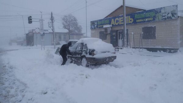 Обильный снегопад в ноябре в Караколе - Sputnik Кыргызстан