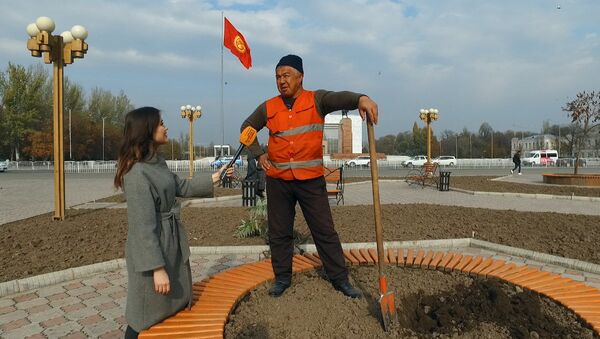 Кыргызстанцы обратились к президенту в день его рождения — видео - Sputnik Кыргызстан