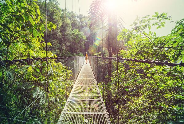 Прогулка в джунглях Коста-Рики в Центральной Америке  - Sputnik Кыргызстан