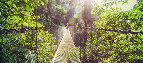 Прогулка в джунглях Коста-Рики в Центральной Америке Прогулка в джунглях Коста-Рики в Центральной Америке - Sputnik Кыргызстан