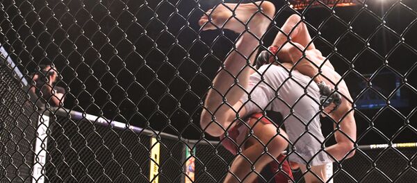 UFC Fight Night в Санкт-Петербурге - Sputnik Кыргызстан