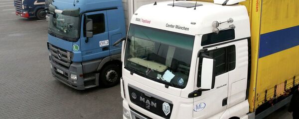 Чек ара көзөмөлдөн өтүп жаткан жүк ташуучу унаалар. Архив - Sputnik Кыргызстан