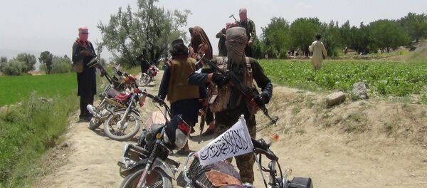 Боевики Талибана в провинции Пактия Боевики Талибана в провинции Пактия - Sputnik Кыргызстан