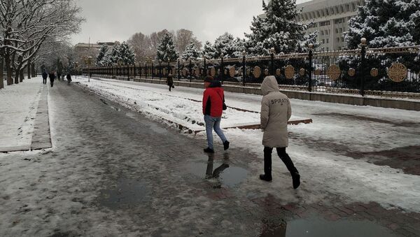 Бишкекте тынчтык митингине чогулгандар тарады - Sputnik Кыргызстан