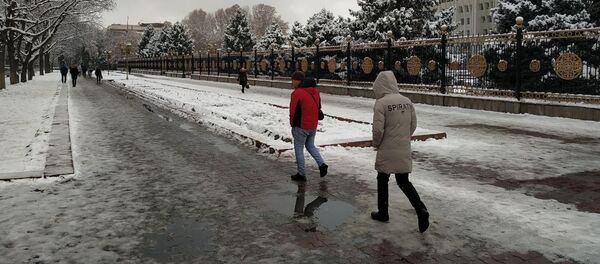 Бишкекте тынчтык митингине чогулгандар тарады - Sputnik Кыргызстан